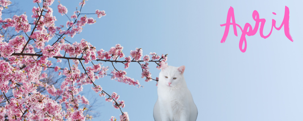 4月の猫の記念日