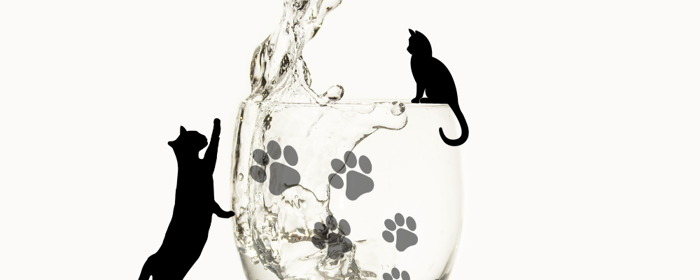猫に水を飲んでもらえる方法