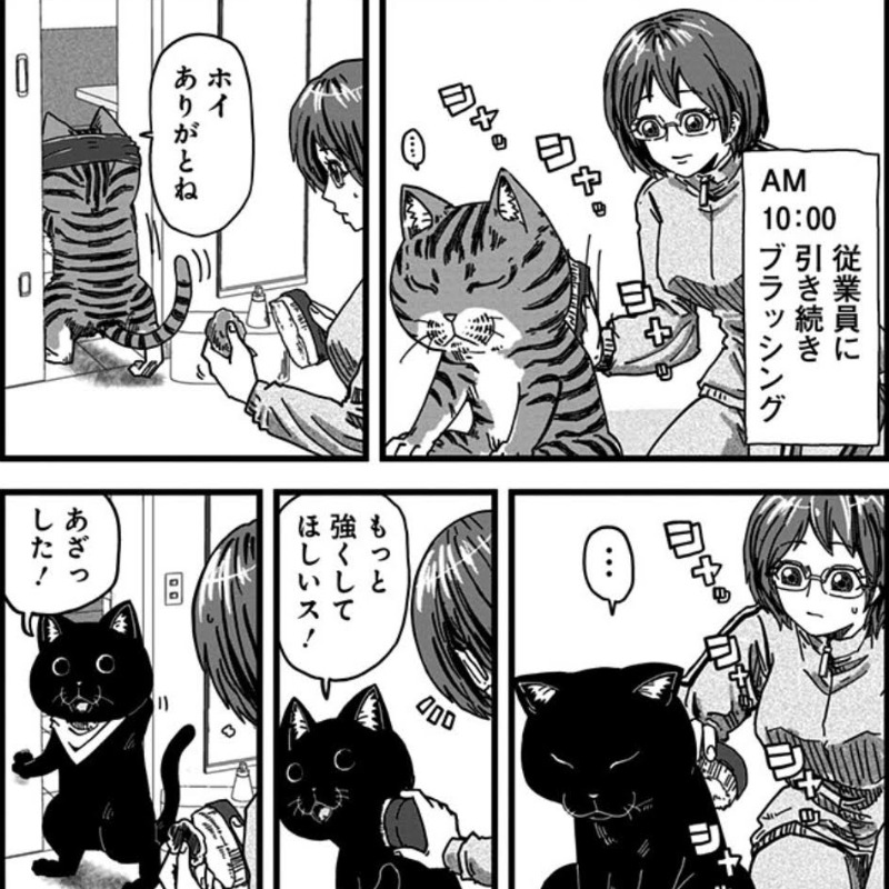 ５匹分のブラッシング