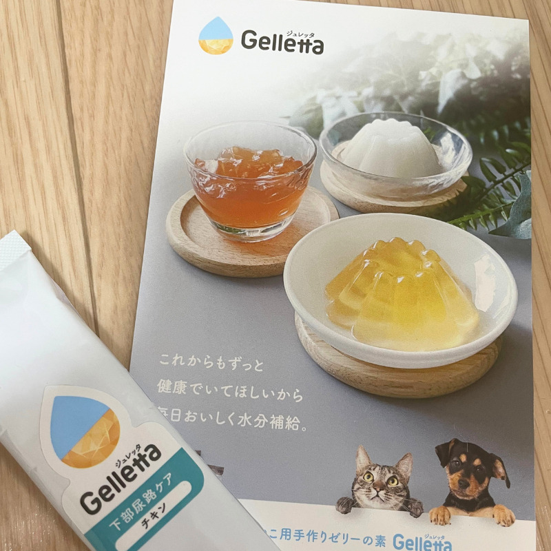 WISHAM「Gelletta」