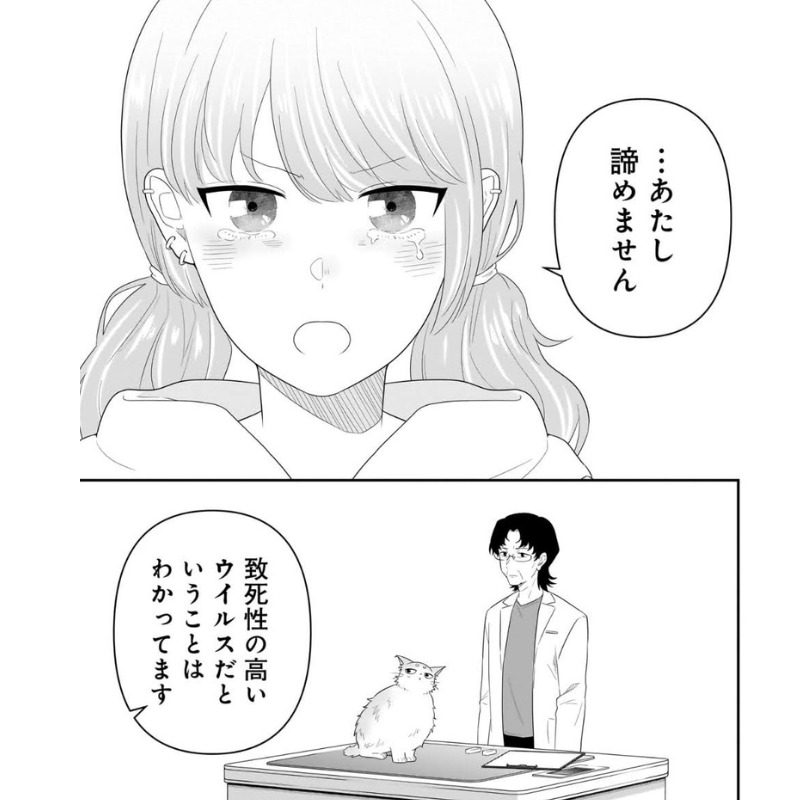 諦めないと告げる