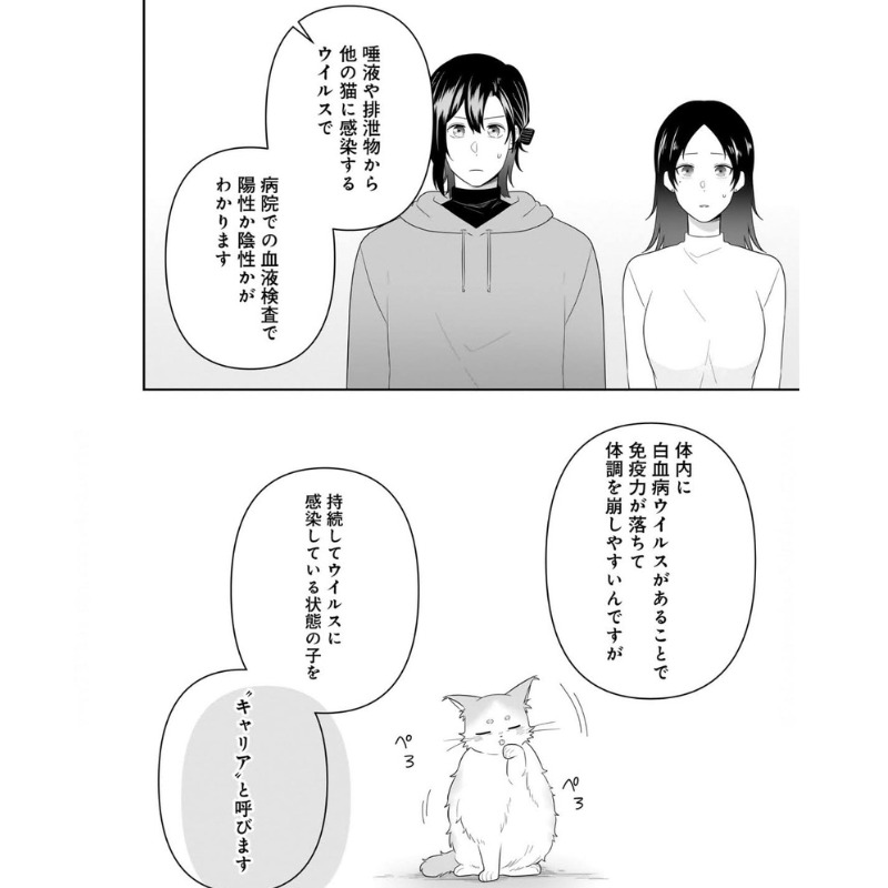 猫白血病キャリアとは