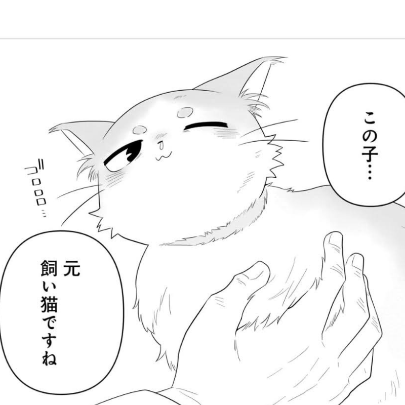 元飼い猫である首輪の跡