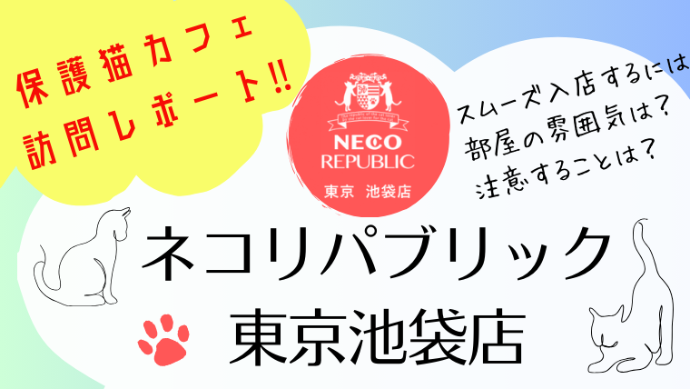 保護猫カフェレビュー！ネコリパブリック東京池袋店