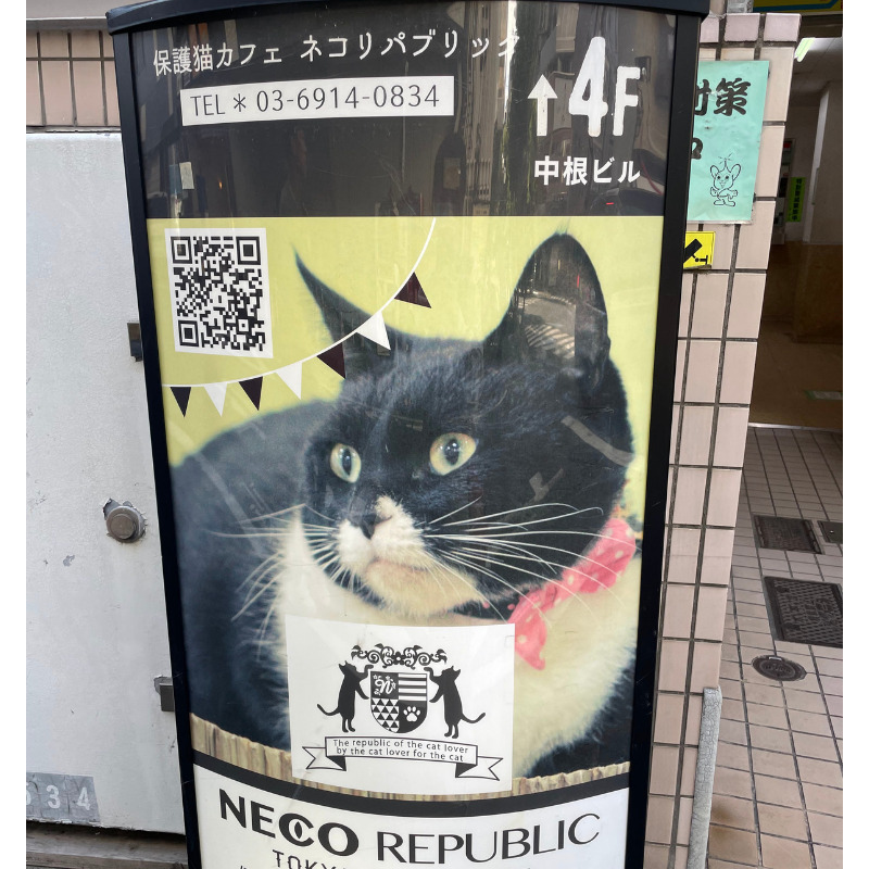 ネコリパブリックの看板が目印