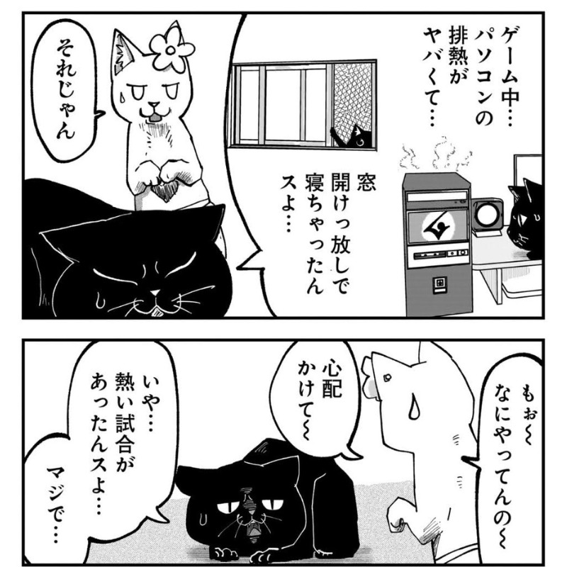 寝冷えしてしまったのが原因