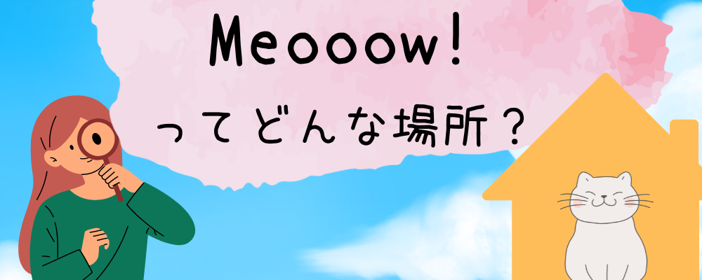 Meooow!ってどんな場所？