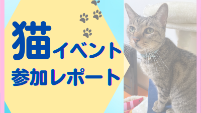 猫イベント参加レポート