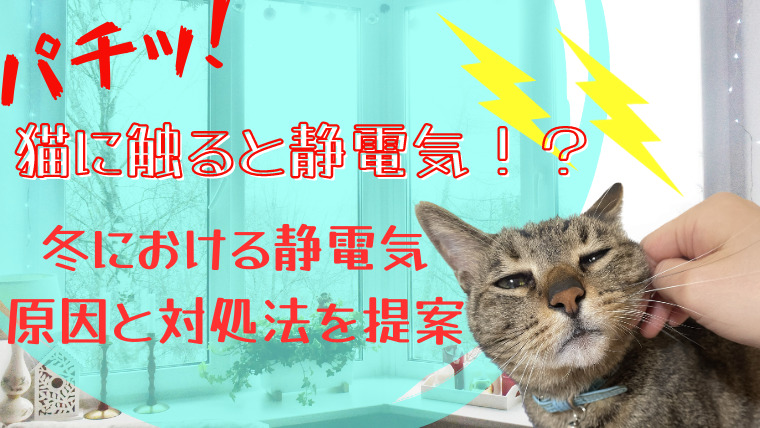 猫に触ると静電気？冬における静電気の原因と対策を提案