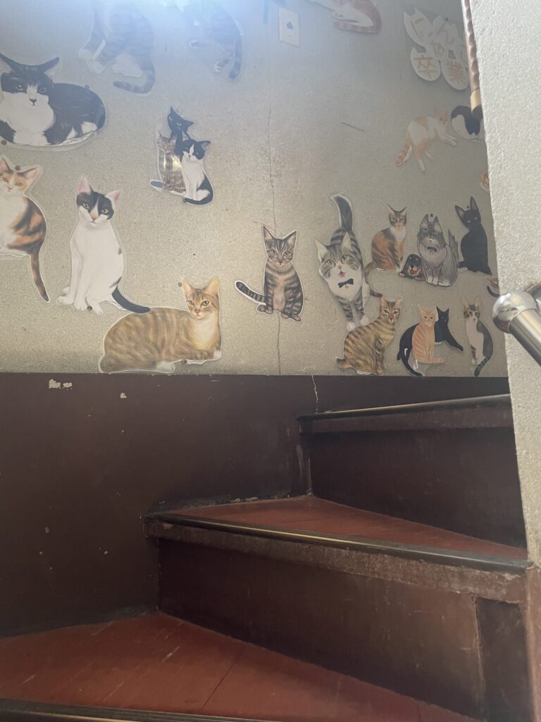 猫イラストでお出迎え