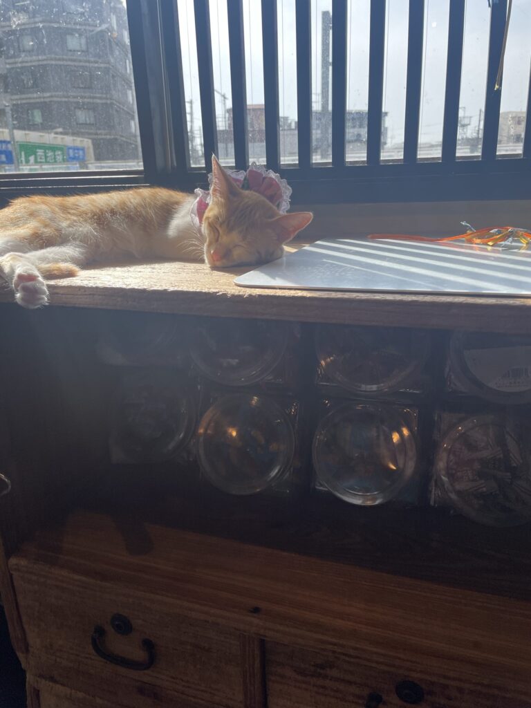 お菓子を守ってる?