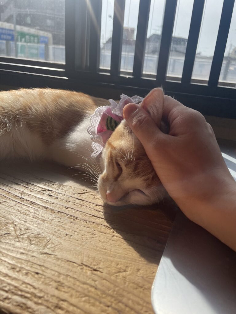 ゴロゴロゴロ