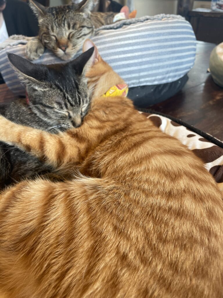 抱き合って眠る