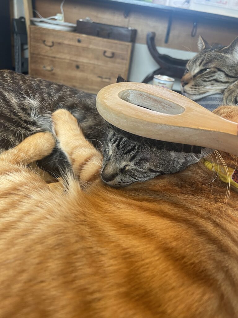 ゴロゴロゴロ