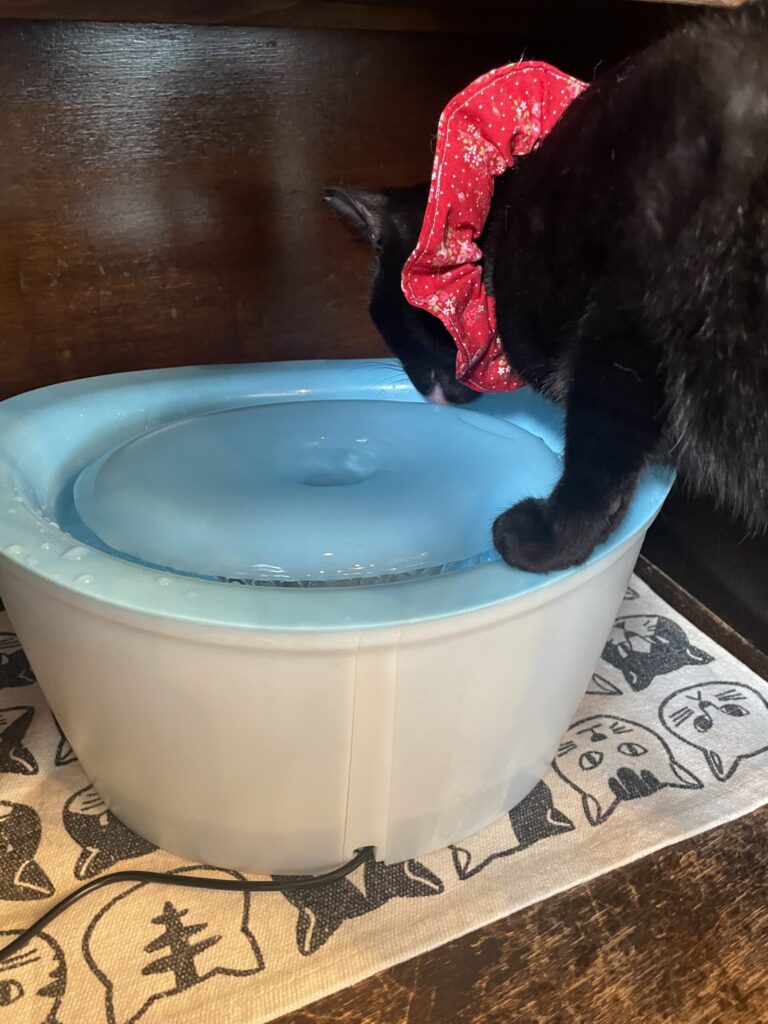しっかり水分補給