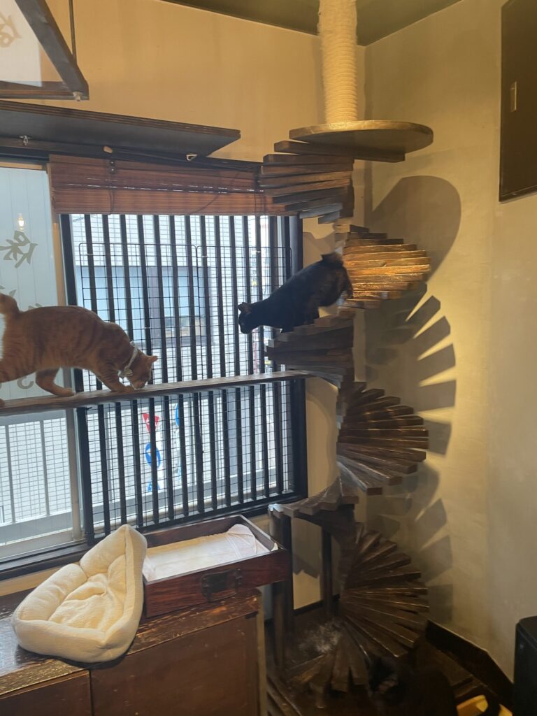 細い通路をとことこ