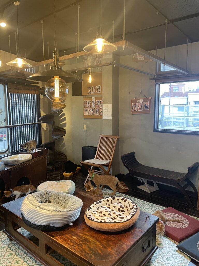 触れ合いルーム