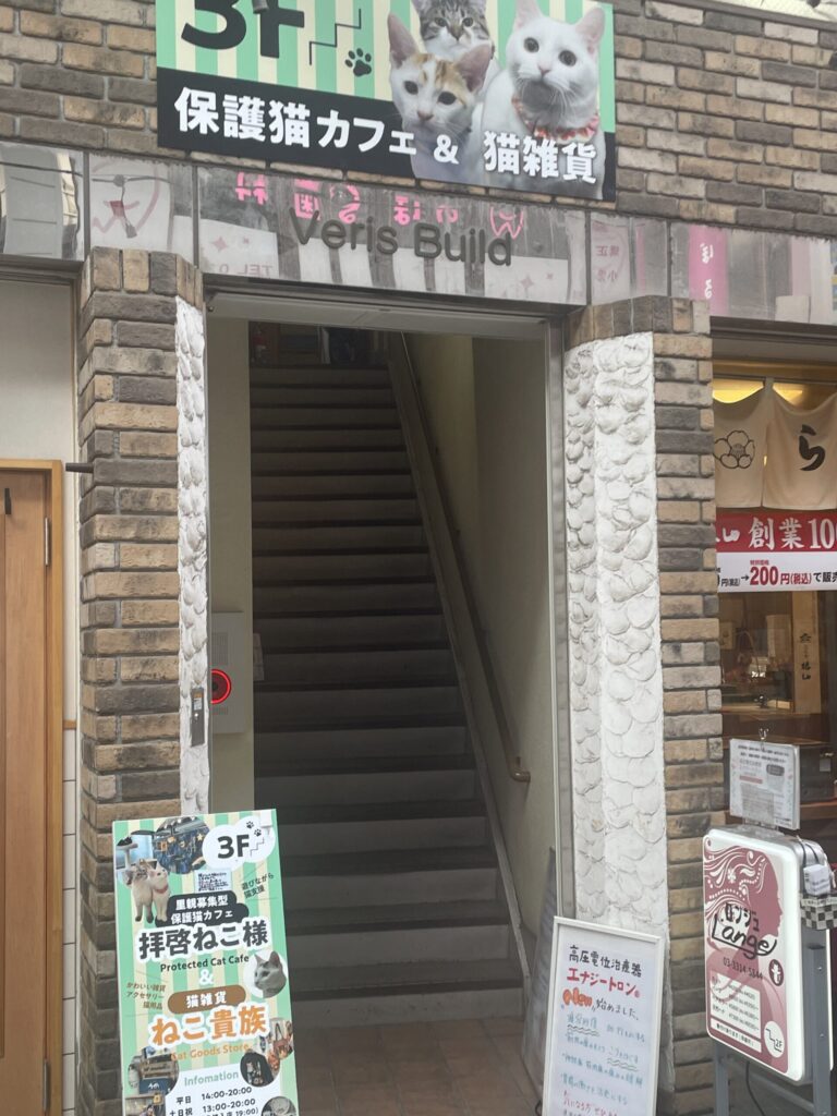 拝啓ねこ様の入り口