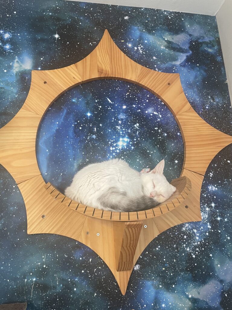 宇宙の中で眠るサンちゃん