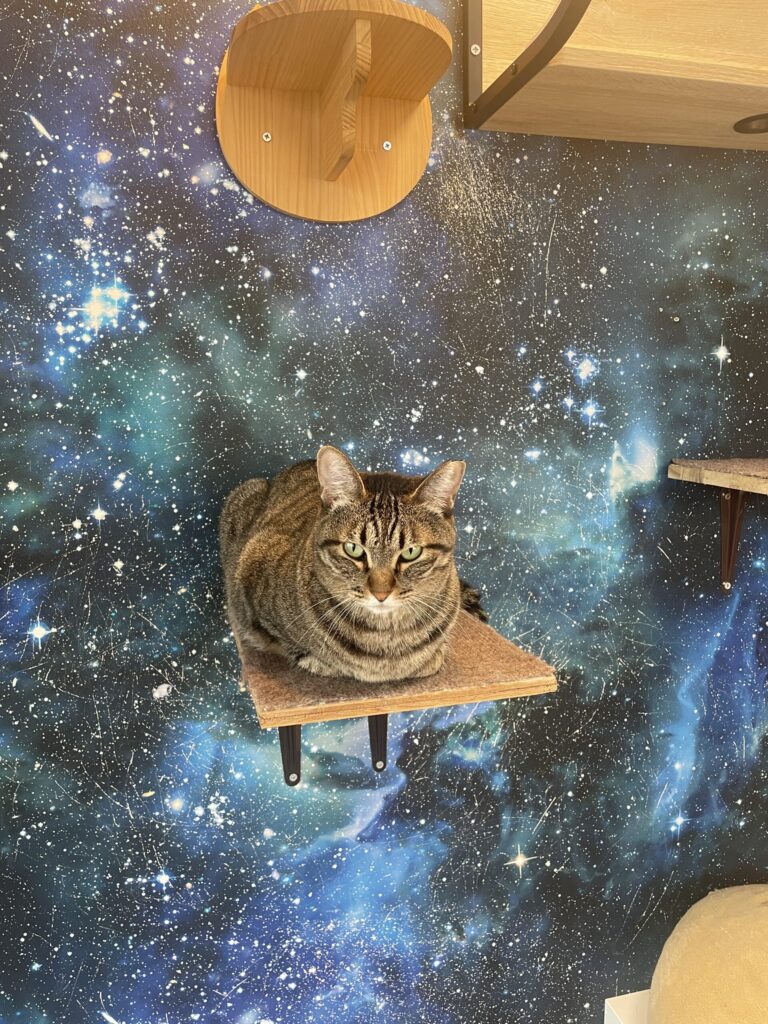 宇宙の中でたたずむ翔子ちゃん