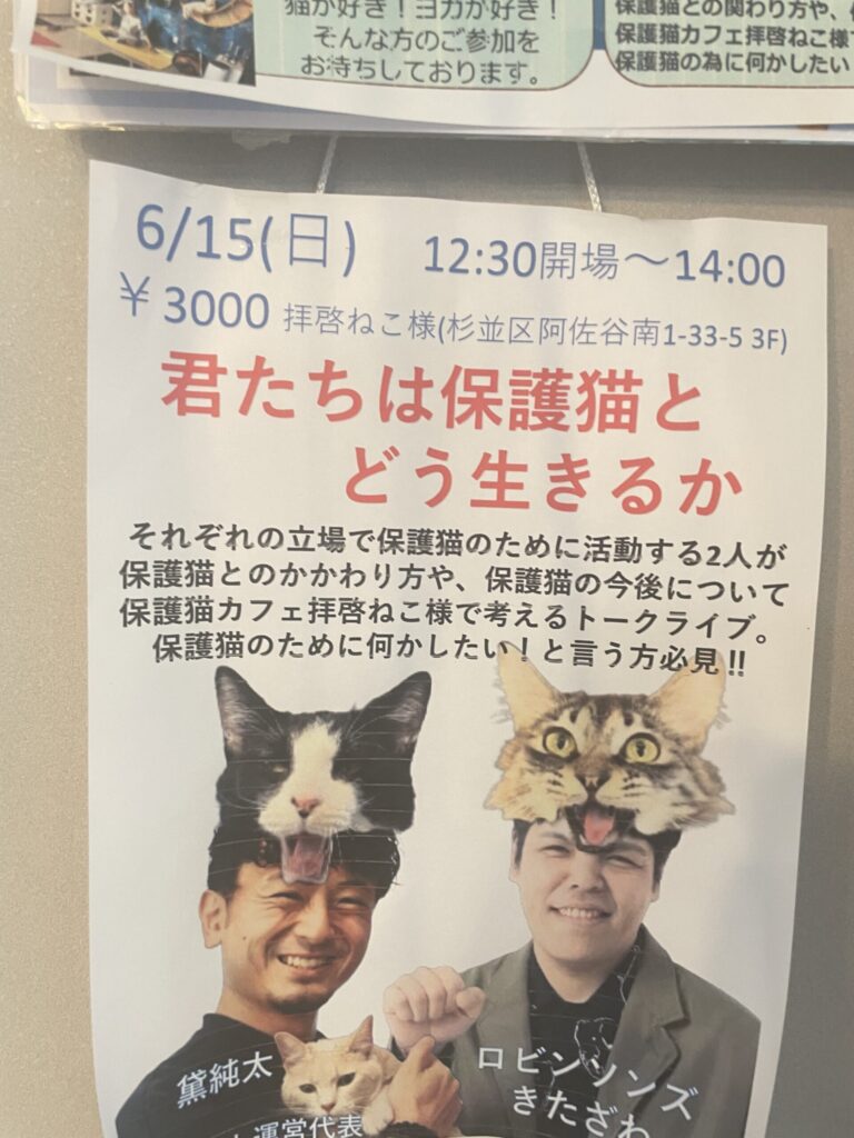 保護猫トークライブ