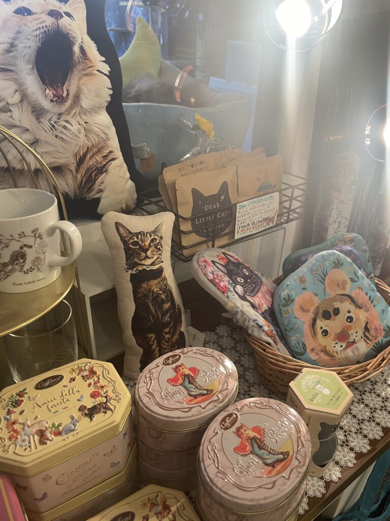 保護猫モデルのクッション