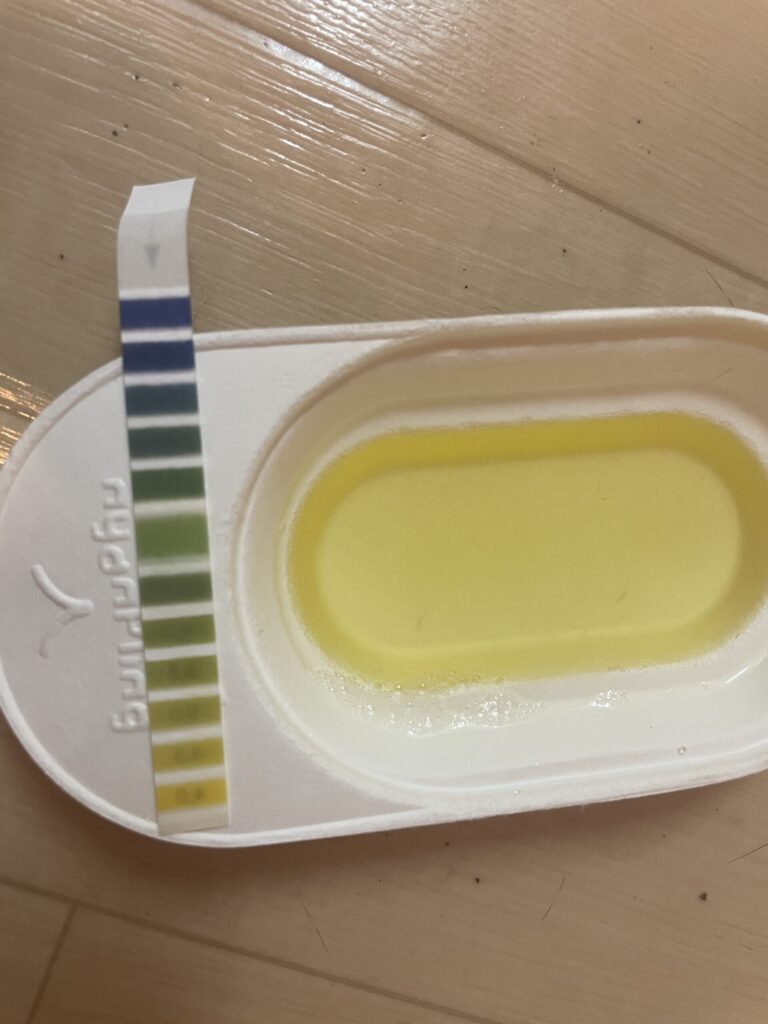 pH試験紙
