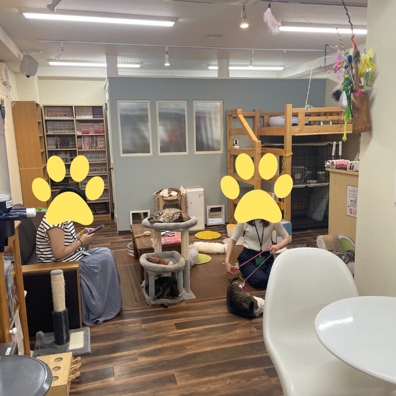 触れ合いルーム