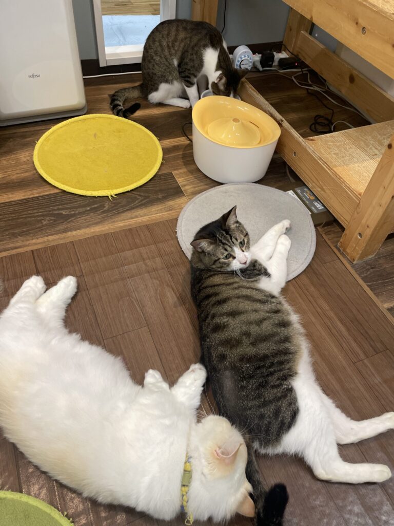 リラックスモード