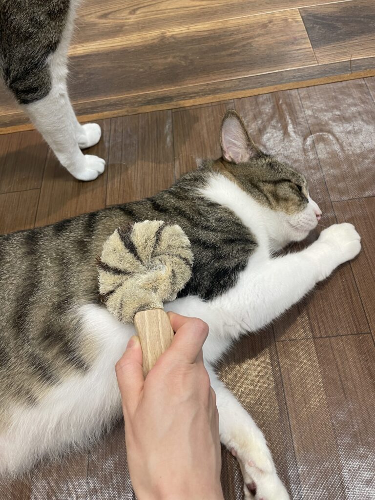 ゴロゴロゴロ