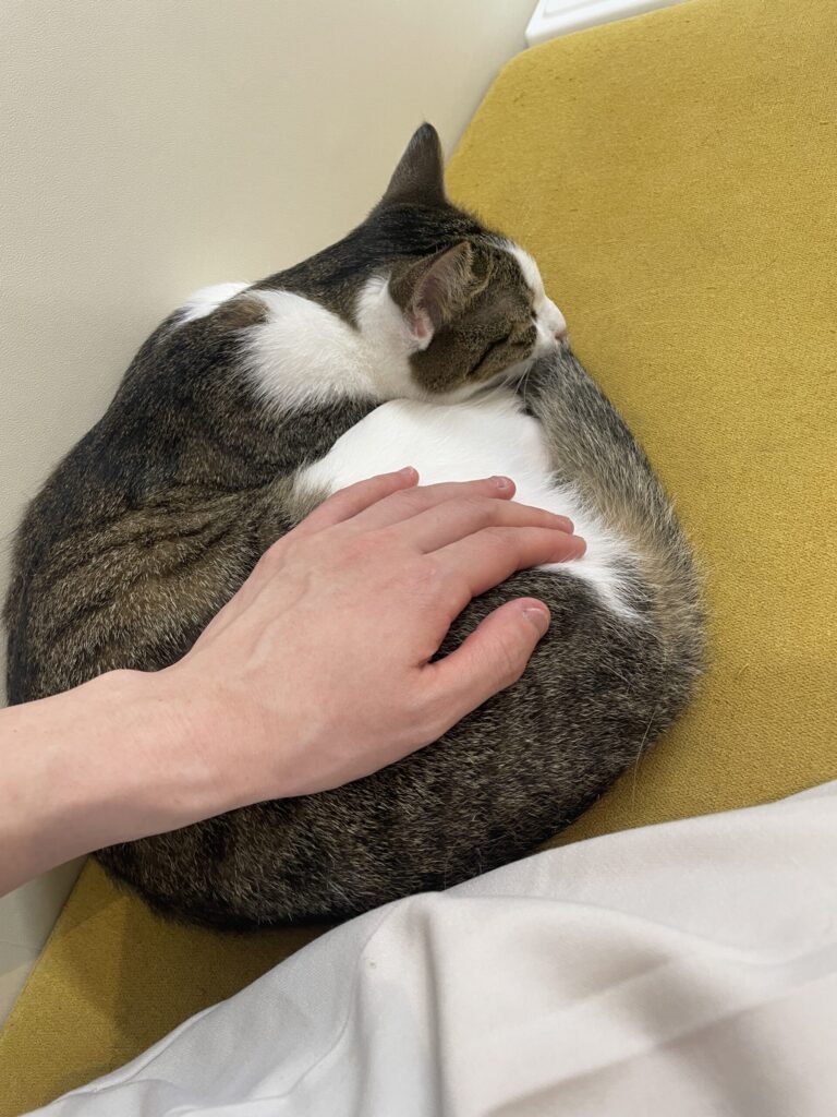寄り添ってくれた