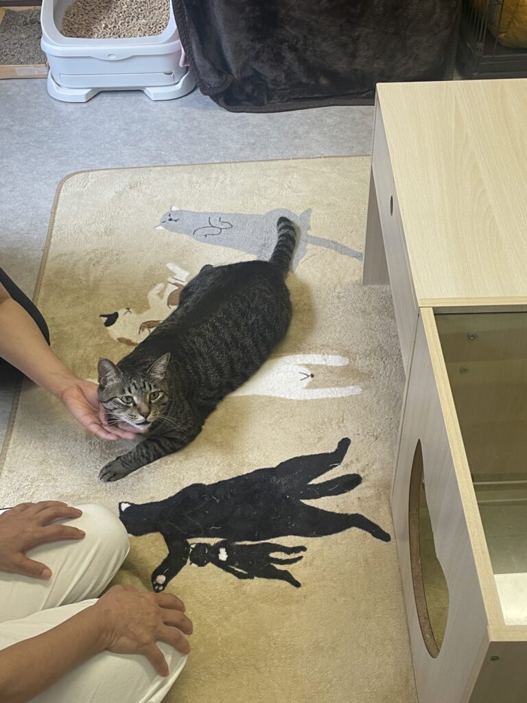 りんご部屋