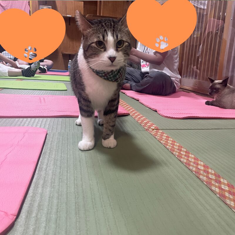 みんなに挨拶する凛太郎くん