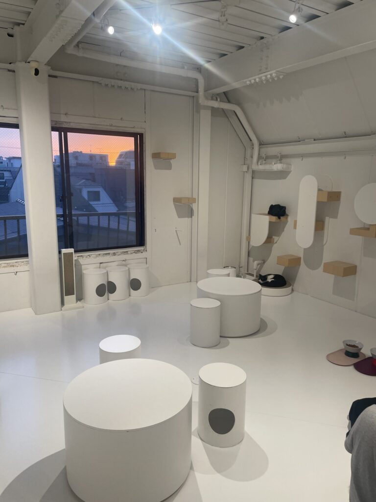 触れ合いルーム