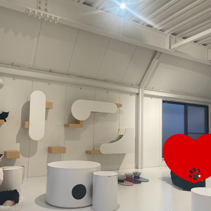 触れ合いルーム