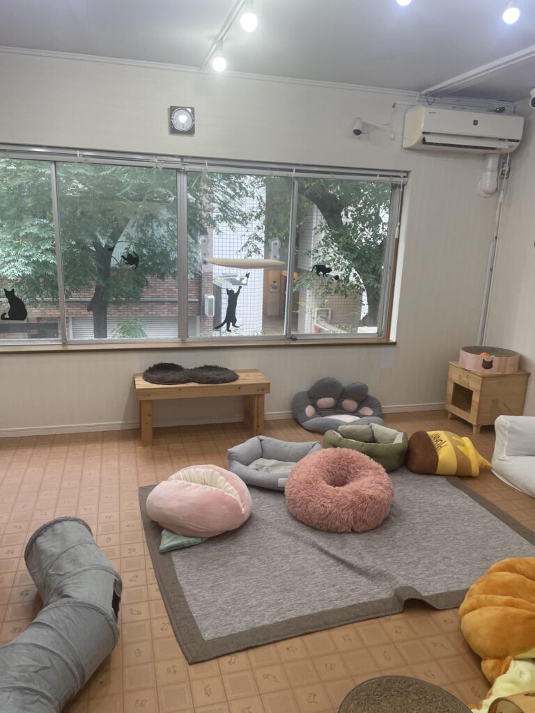 オープンルーム１