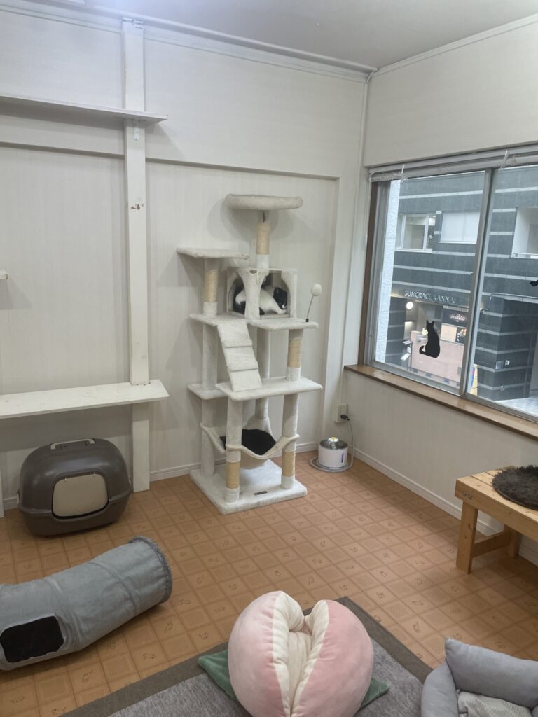 オープンルーム１