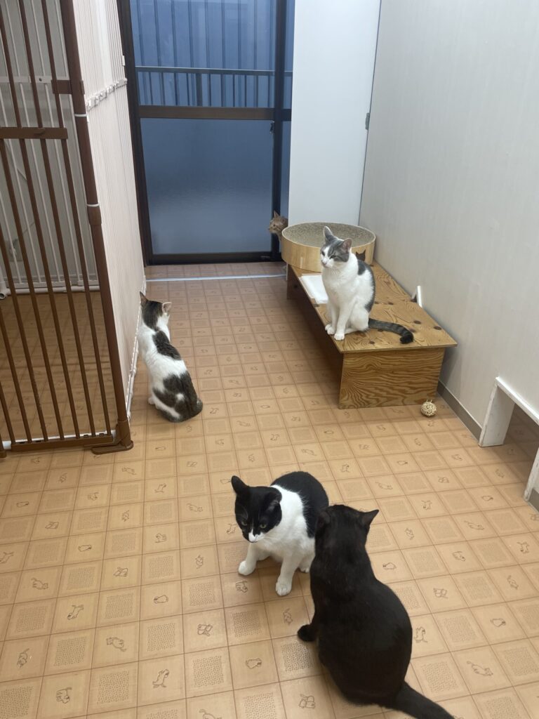 お客様たちの出待ち