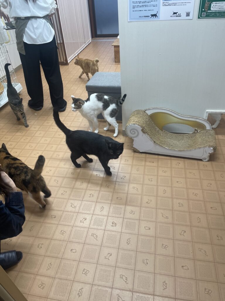 16時前からみんなソワソワ