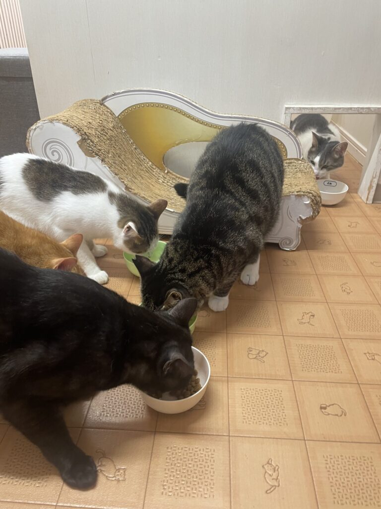 モグモグタイム