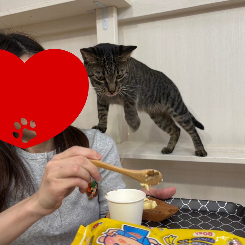 肩にのっちゃう!?